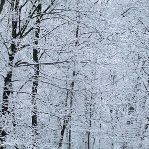 Meet your Posher, Ian